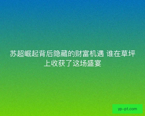 苏超崛起背后隐藏的财富机遇 谁在草坪上收获了这场盛宴
