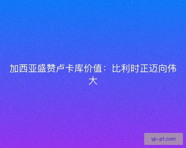 加西亚盛赞卢卡库价值：比利时正迈向伟大