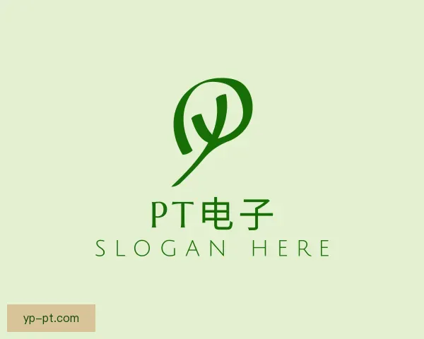 介绍PT电子